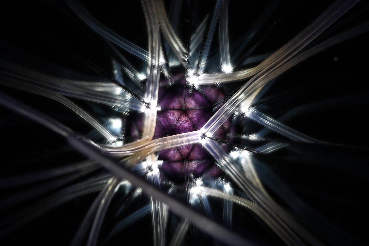 moonmars's tweet photo. Chromosome 24 — Ray Vanger (@SketchLight_ray)
DNA of Humanity | The Mare Crisium Collection

Light painting photographer Ray Vanger presents Supernova, exploring the creative act of shaping light within darkness.
Using movement as method, light becomes the brush and the night the canvas — captured in a single photographic frame.

Part of MoonMars Museum – the first museum on the Moon.
A multi-mission venture preserving human creativity beyond Earth. 🌕
#MoonMars #ArtOnTheMoon