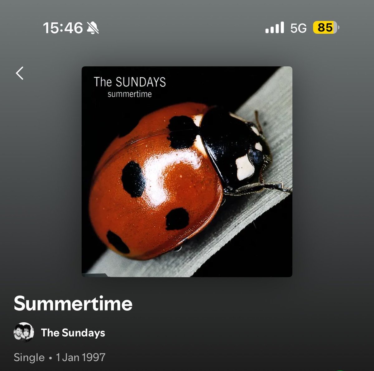 gem 🐞 tweet media