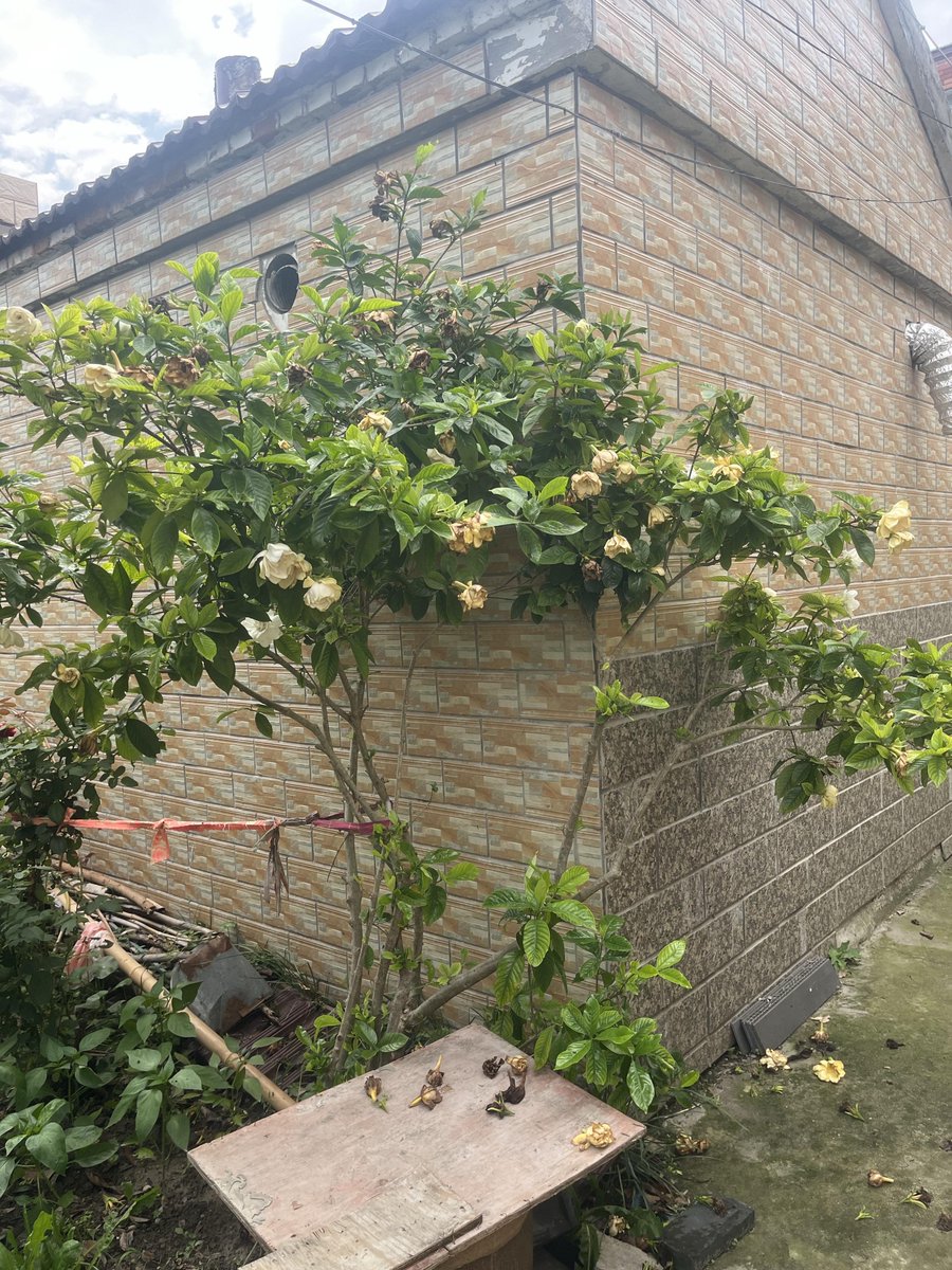 +351 939 499 924 tweet media