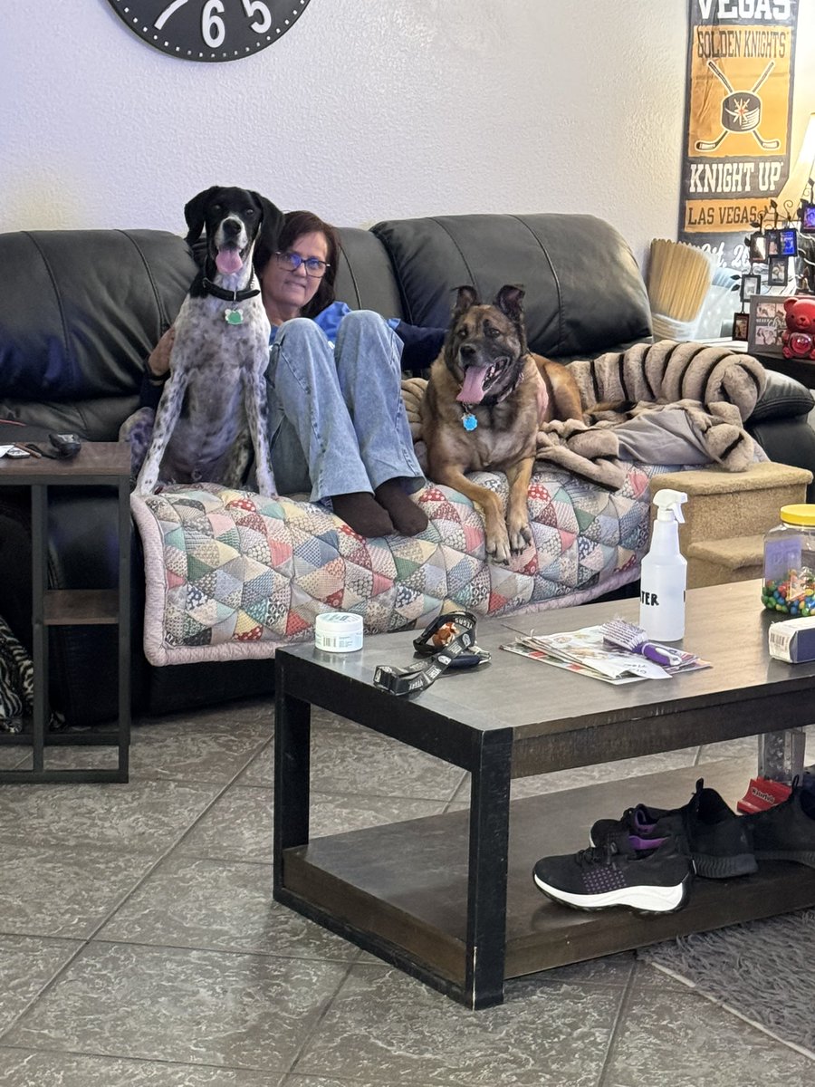 hockeygirlspod's tweet image. Lucky me I get five nights with Hunter &amp;amp; Mocha!! #dogsitter #dogsoftwitter
