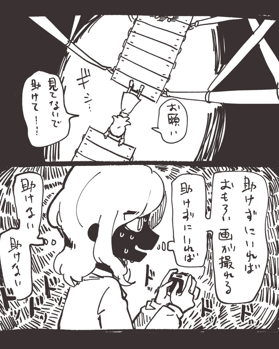 じーま太郎🦅 tweet media