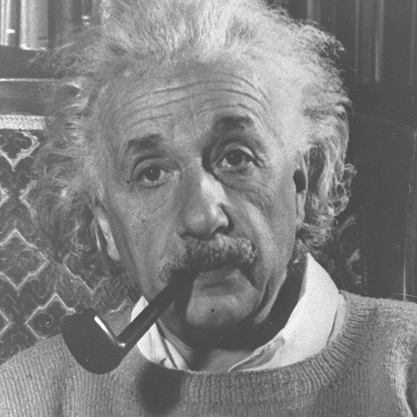 Possum Reviews tweet media