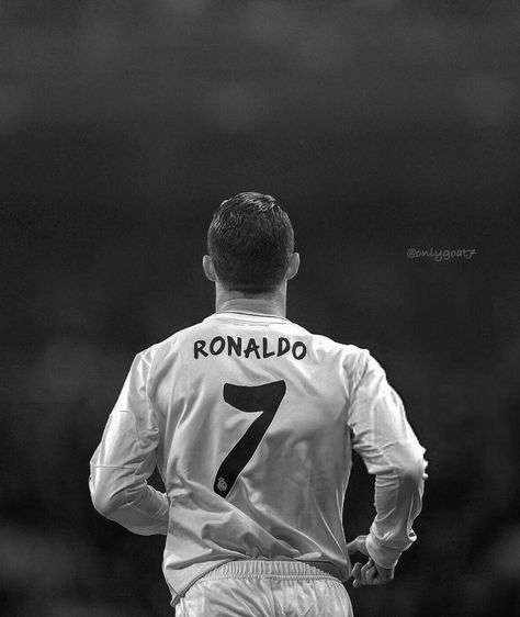 KING in NORTH 🍥 tweet media