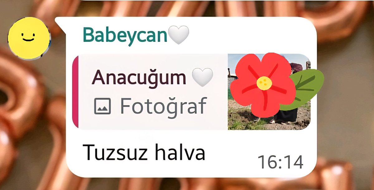 ikolozof's tweet photo. Bi iş yaparken ciddileşip kaşlarımı çatıyorum. Annemde bahçede beni çekmiş, atmış.  Babam durur mu :) Yapıştırmış lafını✨️TUZSUZ HALVA✨️ https://t.co/P94PLvNuVf