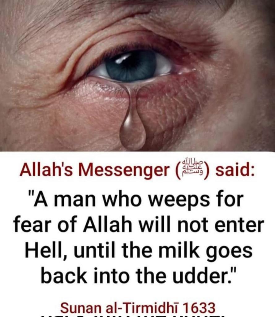The Prophet (ﷺ) said: