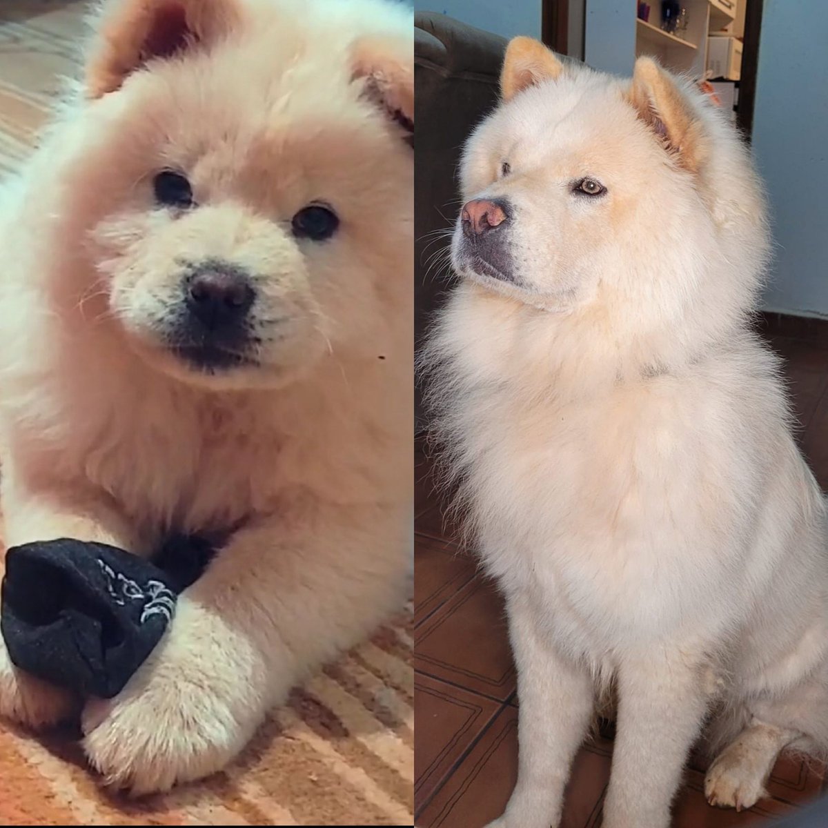 ellie🩺 tweet media