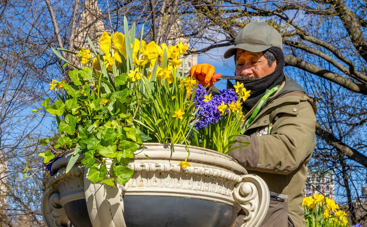 Central Park tweet media