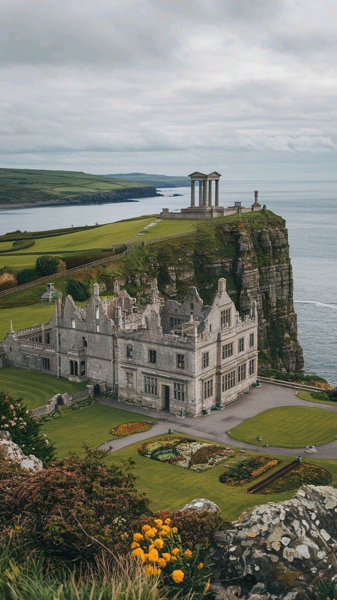 beauti_animals's tweet image. Ireland 🇮🇪