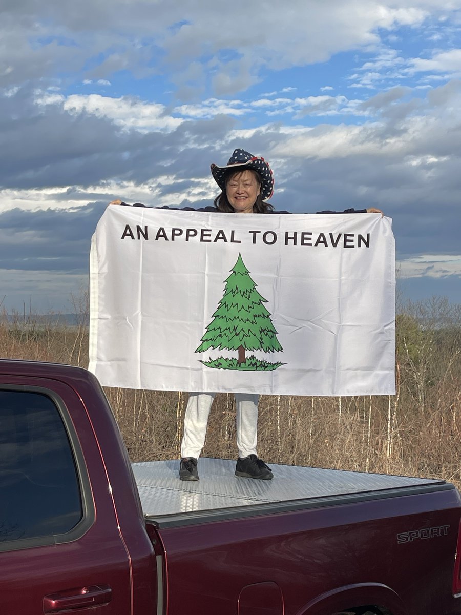 Lily Tang Williams tweet media