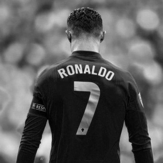 KING in NORTH 🍥 tweet media