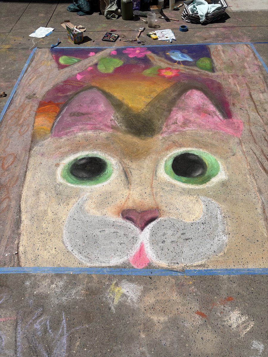 Clayton-Bradley Admy tweet media