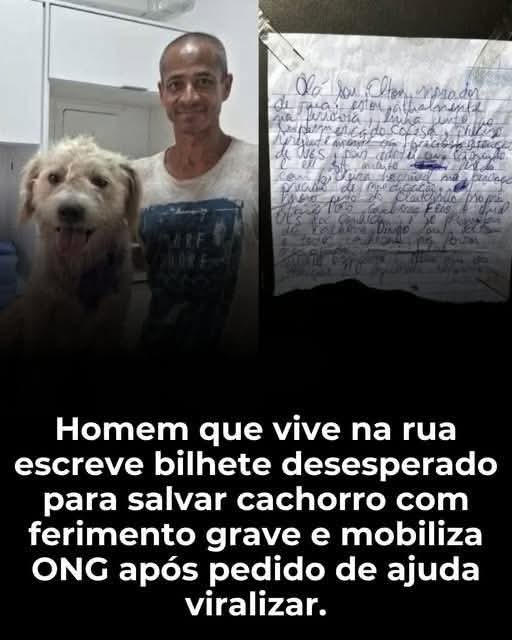 iti malias tweet media