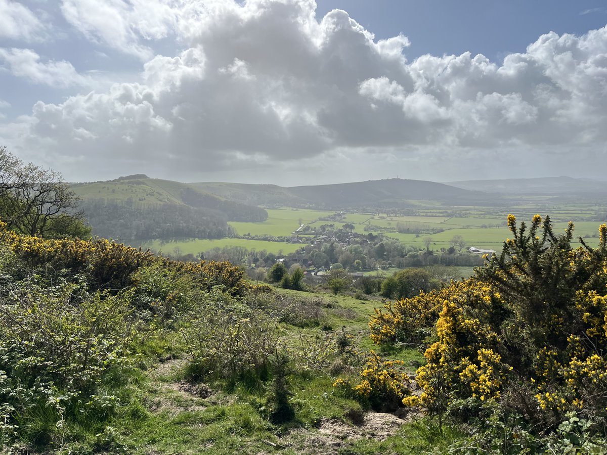 Love the South Downs tweet media