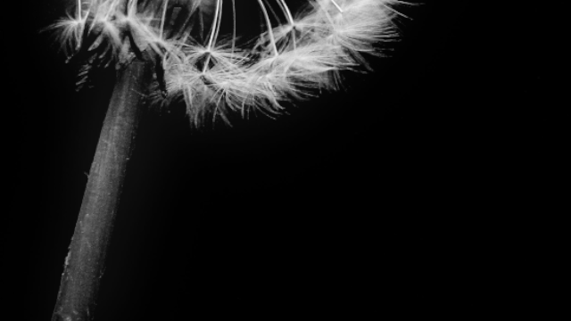 4𝚄𝚁 tweet media