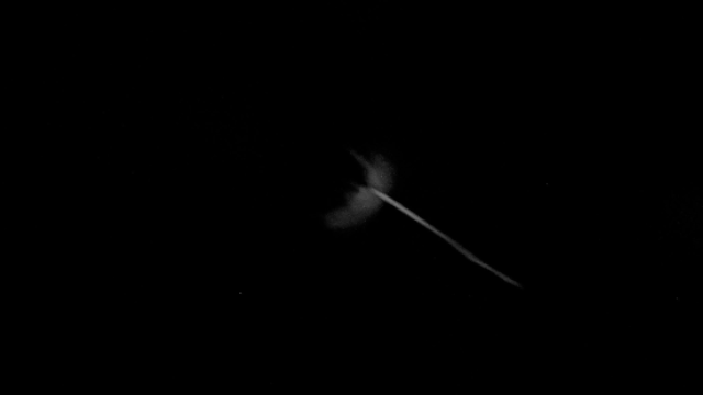 4𝚄𝚁 tweet media