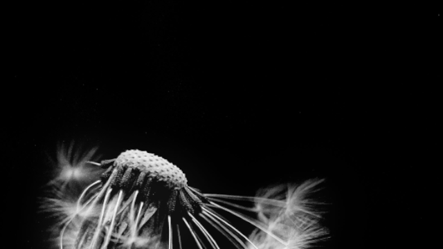 4𝚄𝚁 tweet media