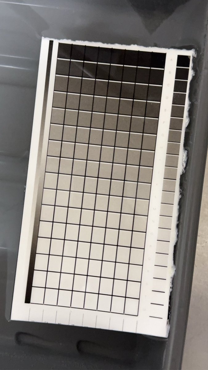 もしや完成した？と思わせておいて、実際の写真をプリントすると何かがおかしい。見た感じ綺麗だったから期待してしまった自分がいました.....。
もう一回、最初から順を追って挑戦してみようと思います。