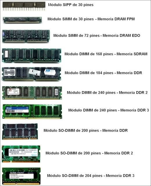 ⭕ Brock Pierson tweet media