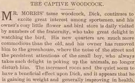 Robert Francis tweet media