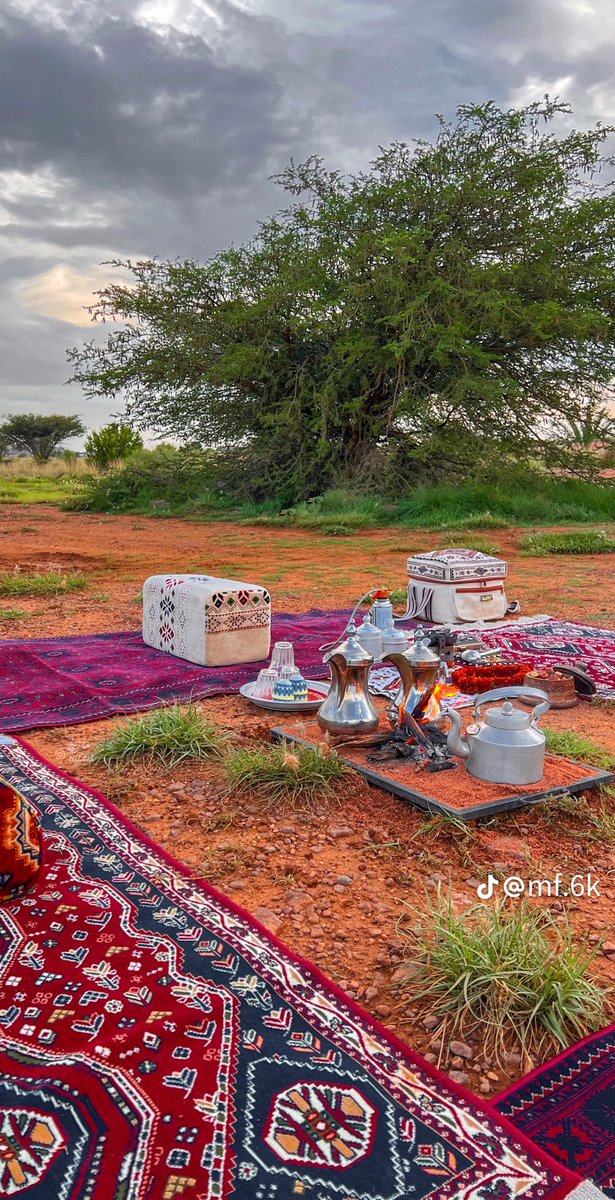 فكره لبيتك tweet media