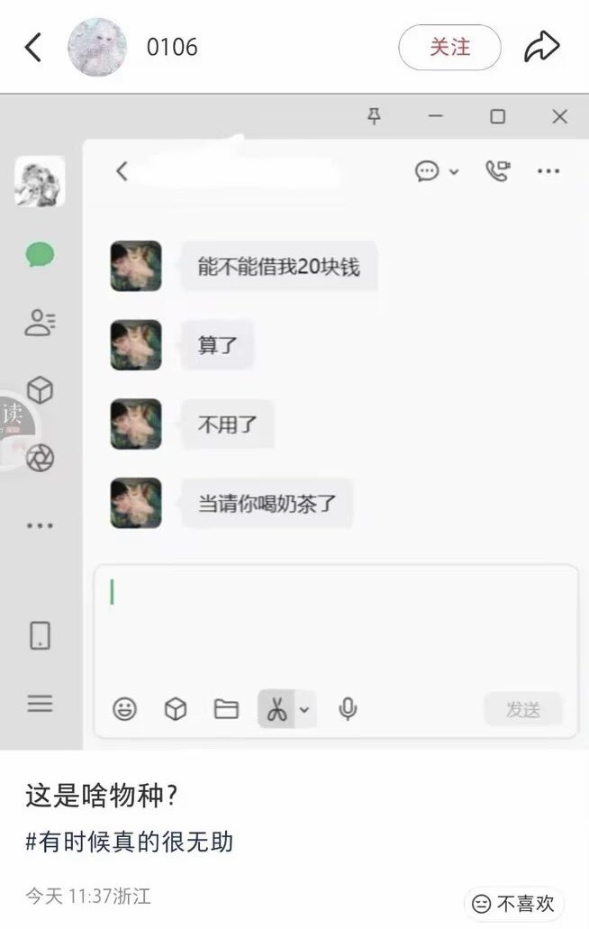 雲鳩 tweet media