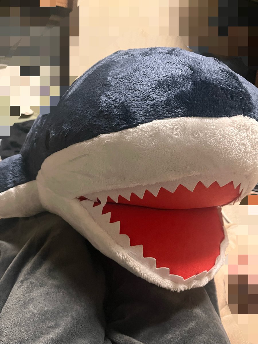 りくゴン tweet media