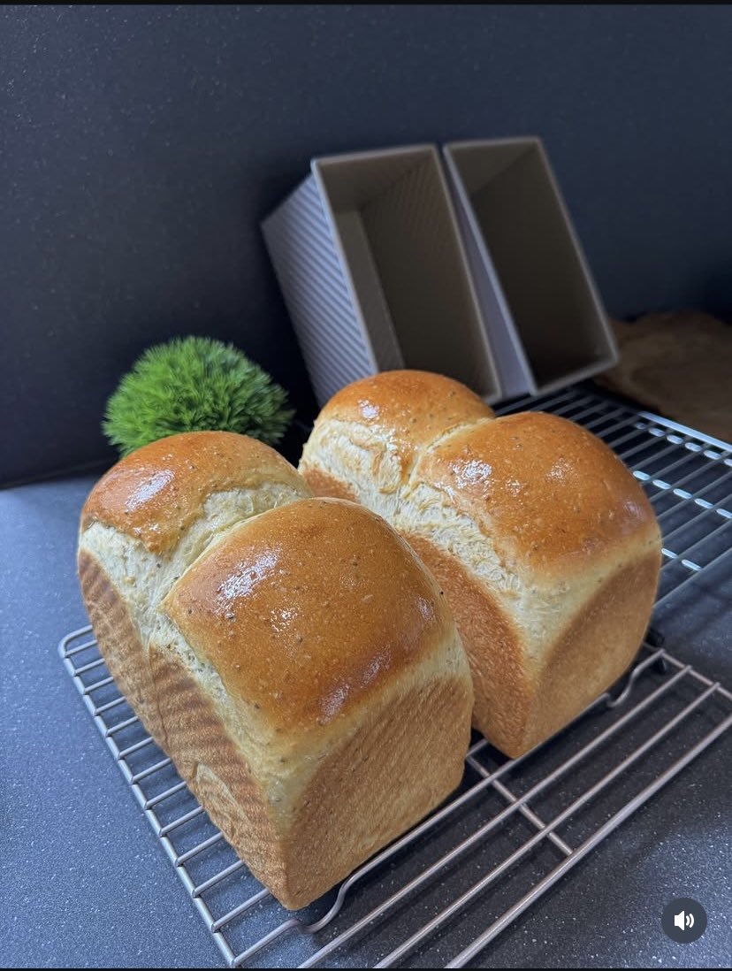 Albryt🍞 tweet media