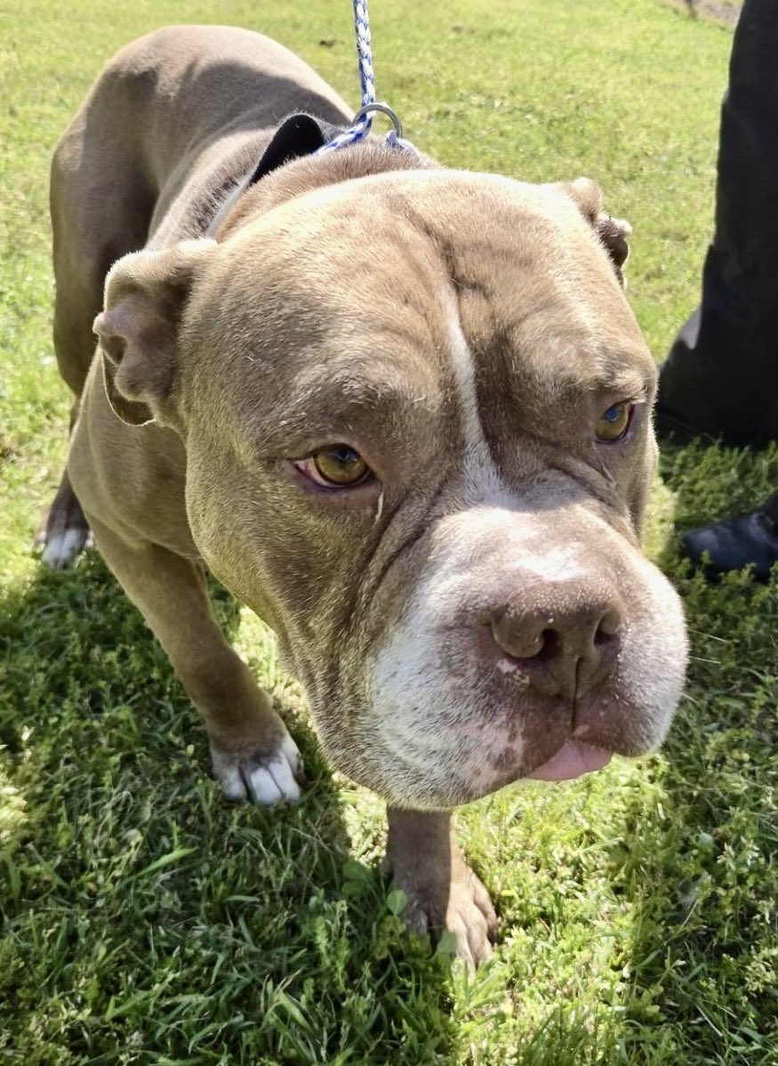 Donna Lac tweet media