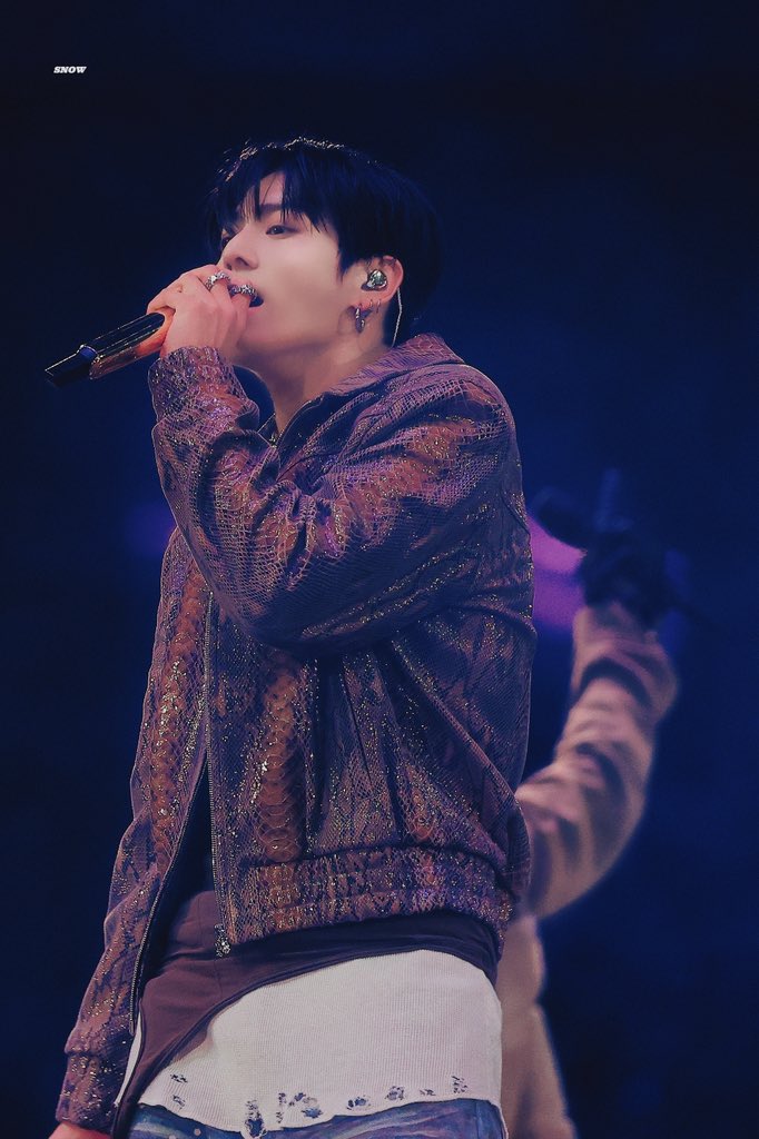 SNOW.🐾 tweet media