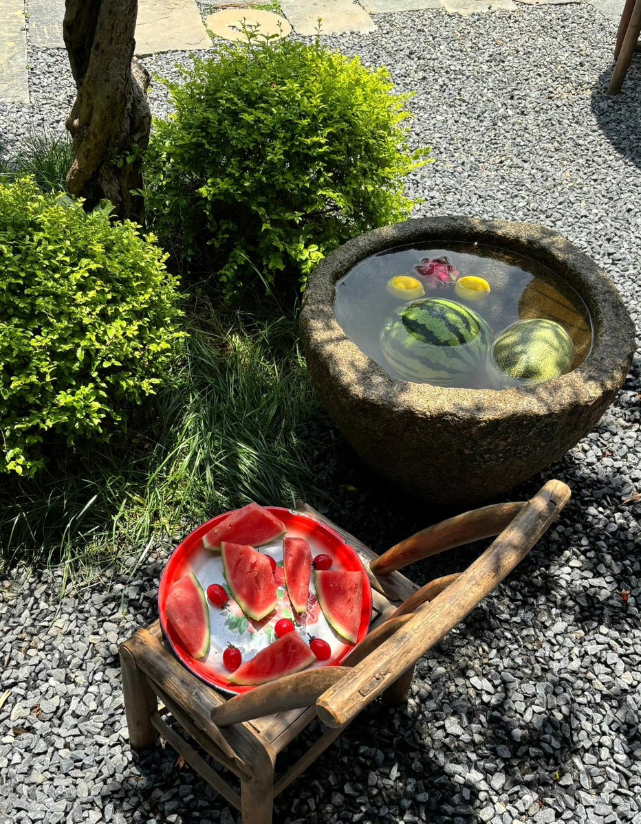 Zagrodnicki tweet media