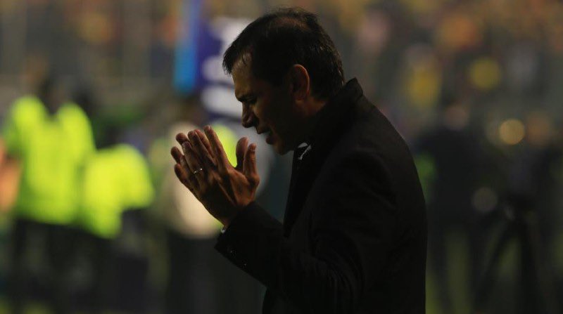 Gato Sessa🇩🇪 tweet media