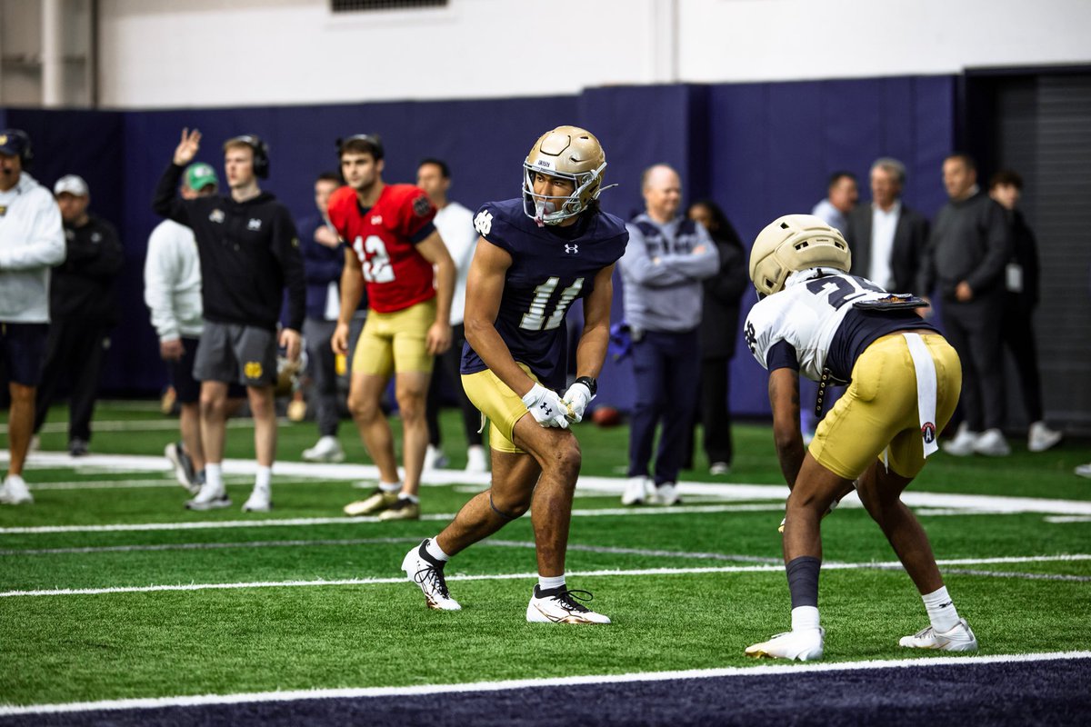 Devin Fitzgerald tweet media
