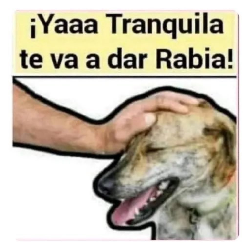 MEMO RIVERA tweet media