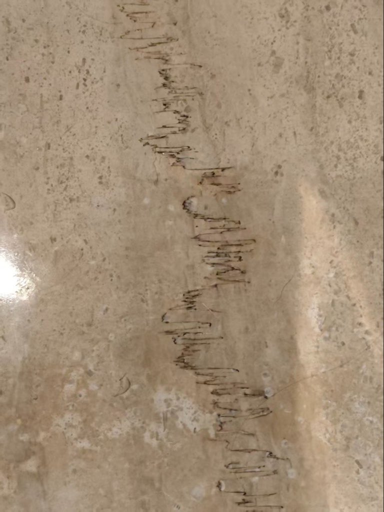 Market Meme Lord tweet media