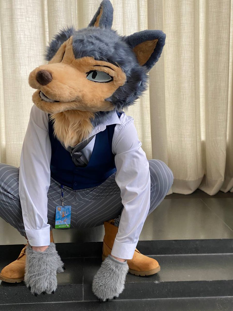 #Legoshi will be making an appearance at <a href="/furgeddaboutit/">Furgeddaboutit 2026: Don’t You Furgeddaboutme</a>! Come say hi... I don't bite (maybe if deer or bunny ;3) 

I'm okay with taking pictures, hugs, and uppies. Please ask first though. See you fuzzies there! 
#beastars #furry #fursuit