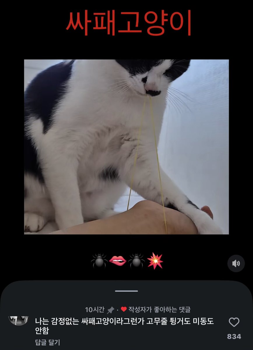 핫토리 준식(폰헌터) tweet media