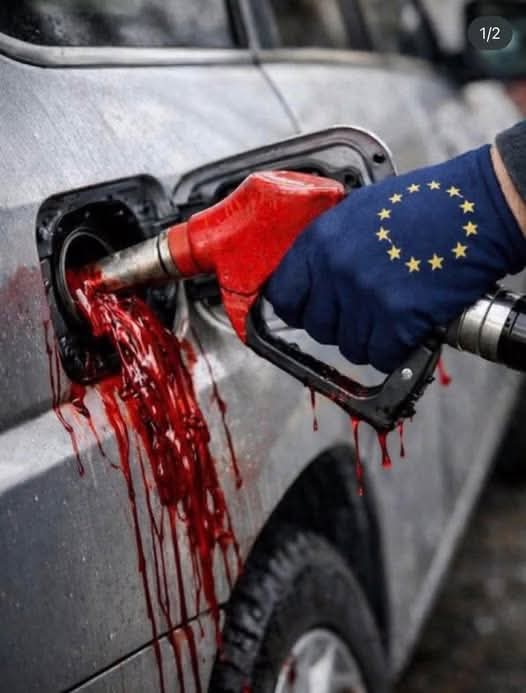 حافظ احراري هلمندی tweet media