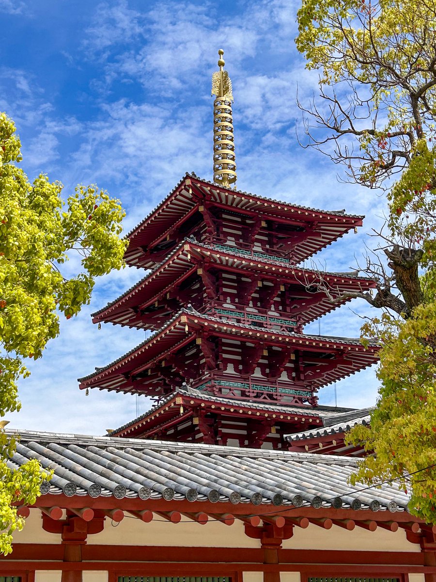 Globe Tucker tweet media