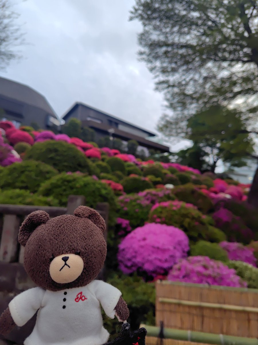 伊藤優花🍫演劇人 tweet media