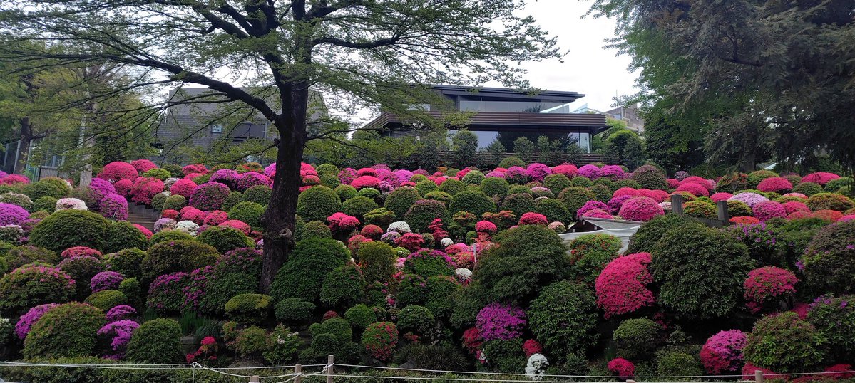 伊藤優花🍫演劇人 tweet media