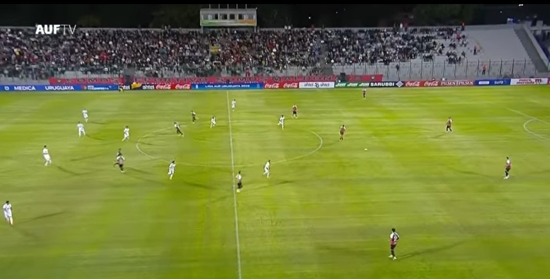 CarlyBolso tweet media