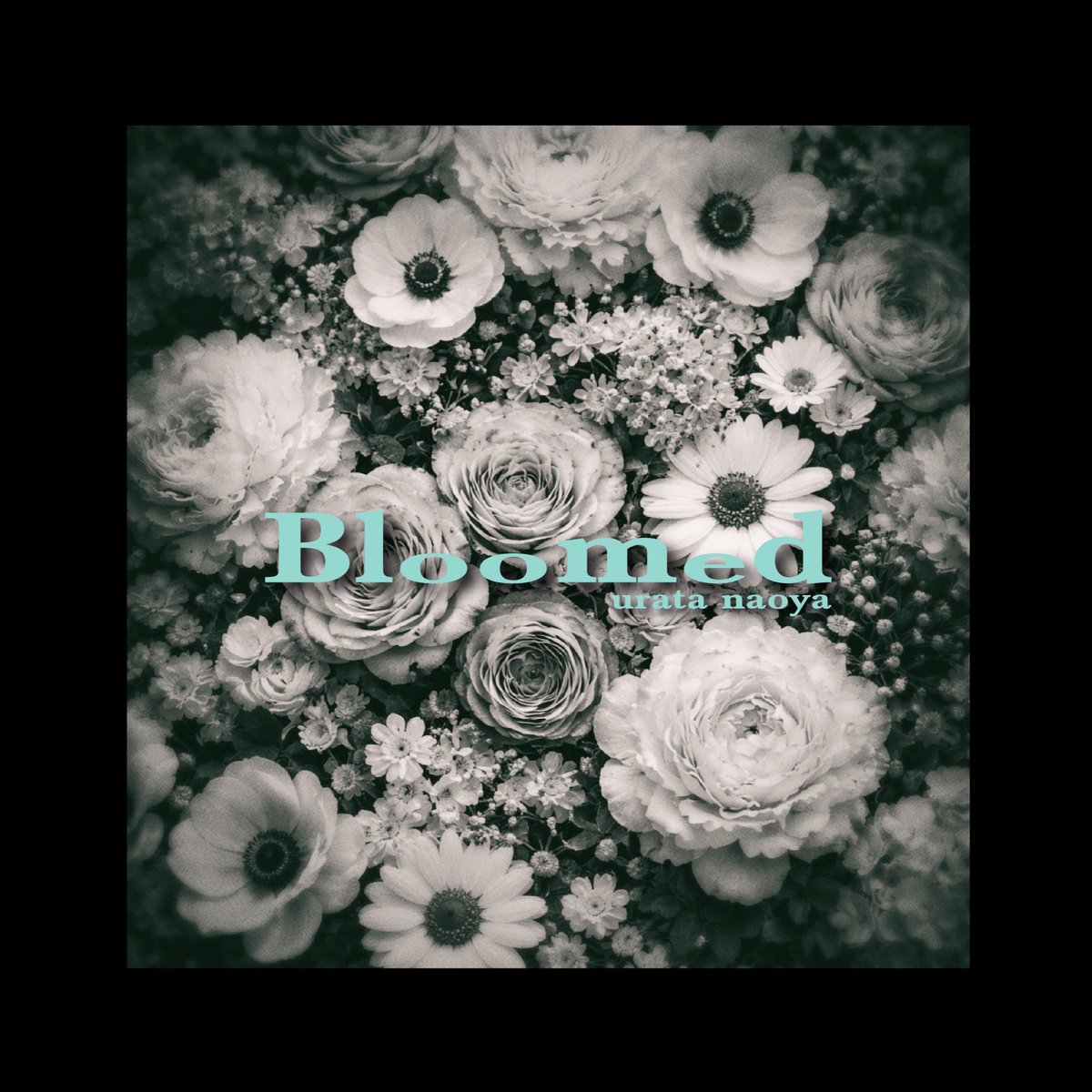 un1982's tweet photo. 🎧New Digital Single🎧

『Bloomed』配信スタート▶️✨

Lyrics &amp; Music by urata naoya

⬇️Streaming &amp; Download 
https://t.co/umkmljxtNp

“今”を大切に…
という想いを込めて制作し、歌った一曲。
皆さんの心に届きますように🩵

#浦田直也 #uratanaoya #Bloomed https://t.co/BHfy1rDxtm