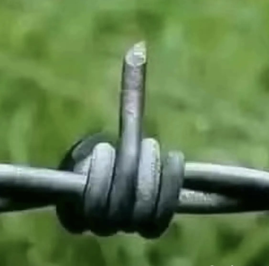 Pilar G. 🇪🇸 🇵🇸🔻 ☭ 🇨🇳 马晨露 tweet media