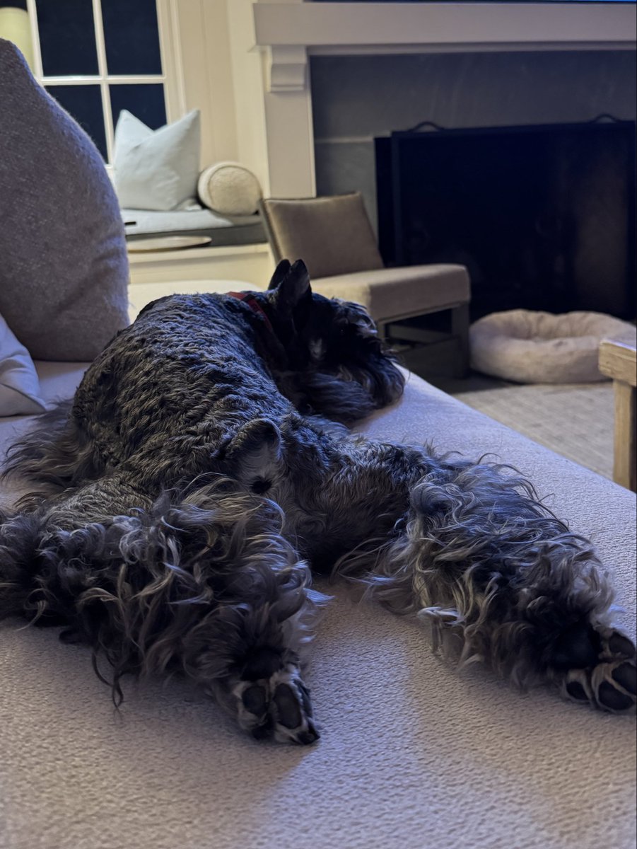 Dottie Pepper tweet media