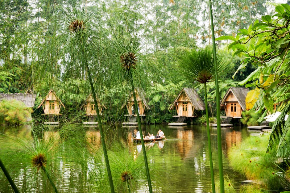 Erica Graham tweet media