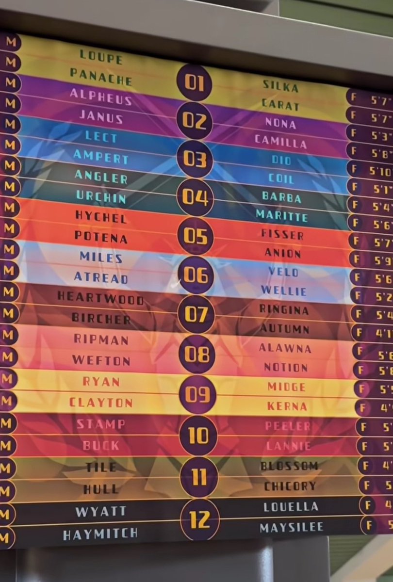 leo 🍉 SOTR ERA tweet media