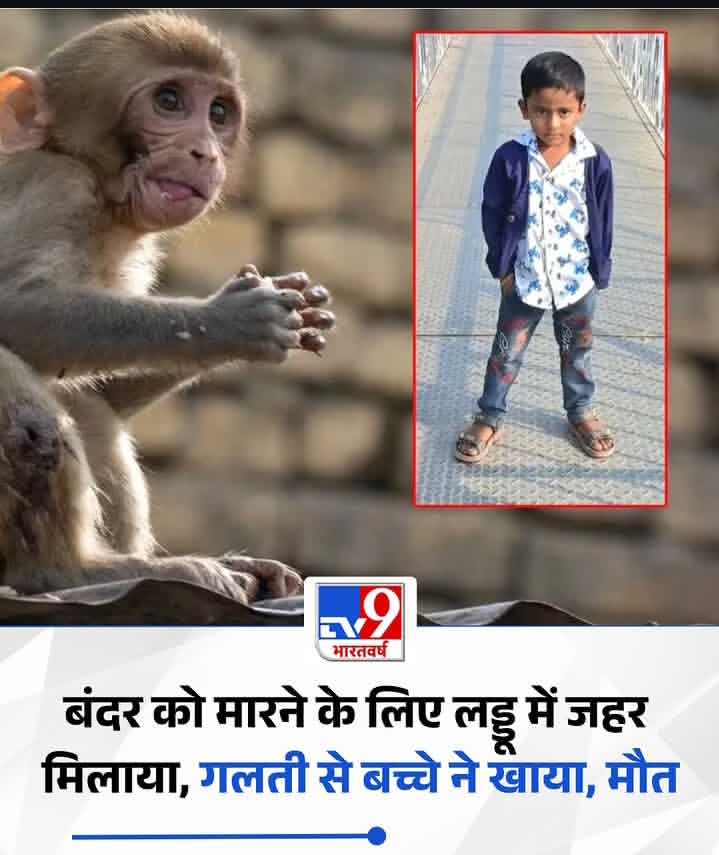 तेलंगाना के मुलुगु जिले से एक बेहद सनसनीखेज घटना सामने आई है. यहां एक बच्चे की मौत जहरीला लड्डू खाने से हो गई. बंदर को मारने के लिए लड्डू में ज़हर मिलाया गया था, जिसे 4 साल के बच्चे ने खा लिया।