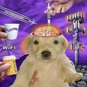 frogwitchdev tweet media