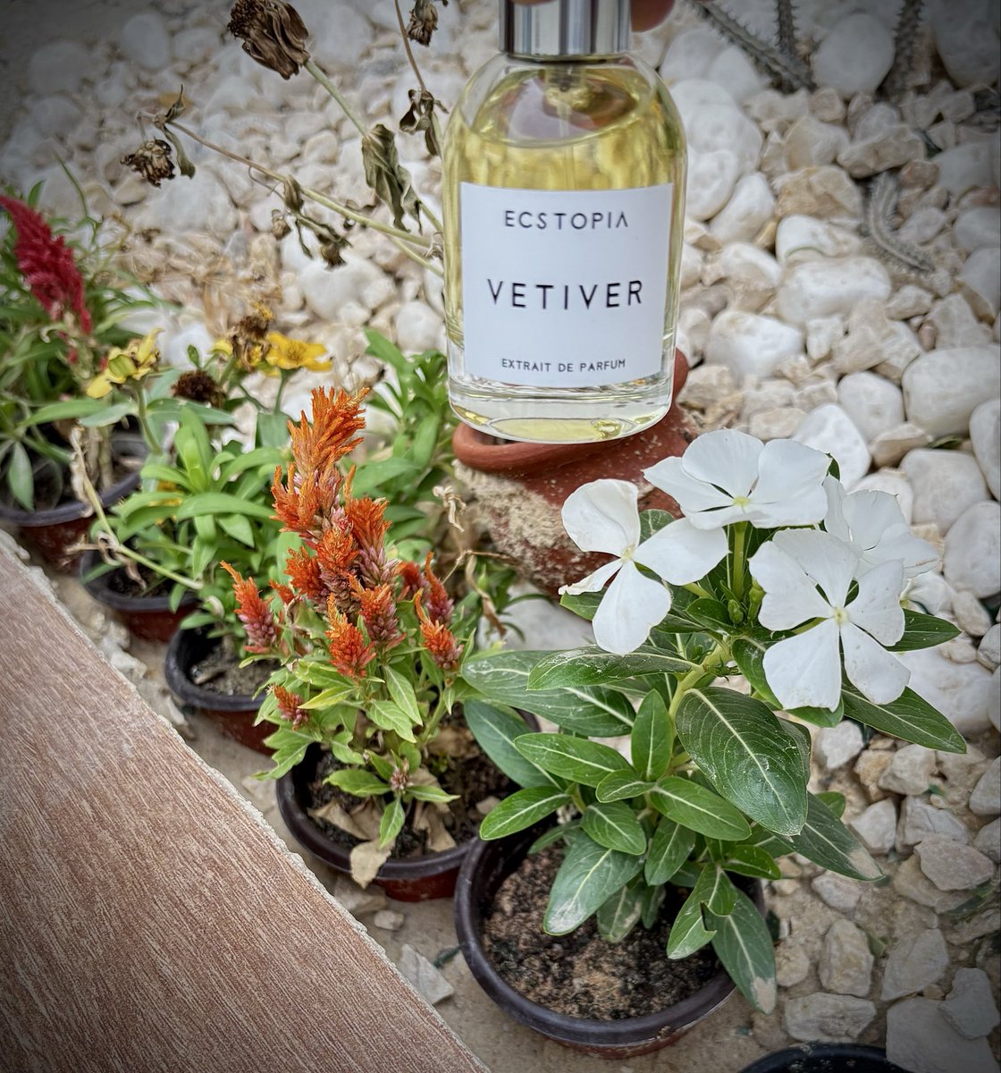 ムＢD U Ł L ム卄 tweet media