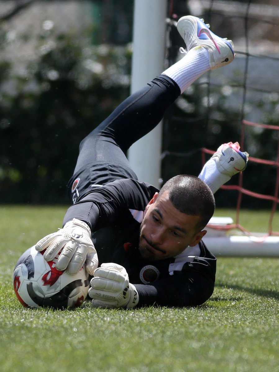 Natura Dünyası Gençlerbirliği tweet media